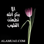 صورة