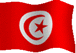 tunisia_flag.gif