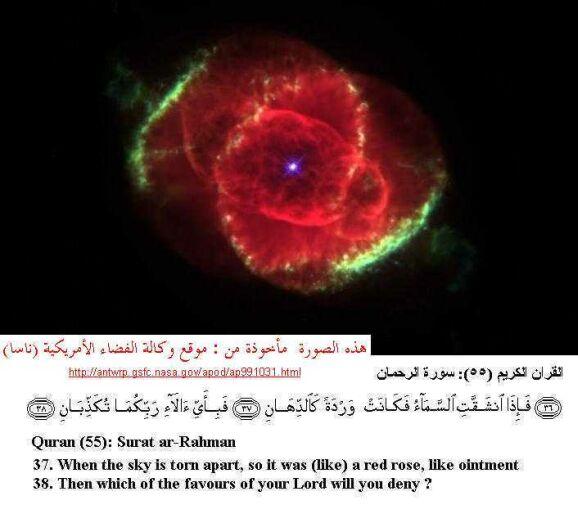 post-92943-074749800 1298233295_thumb.jpg