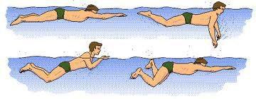 تعليم سباحة.jpg