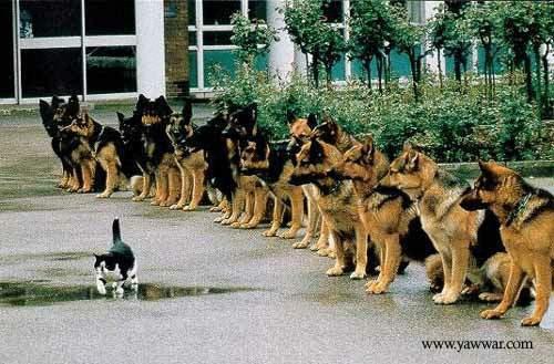 صورة وتعليق - 5.jpg