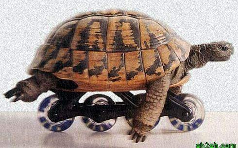 صورة وتعليق - 3.jpg