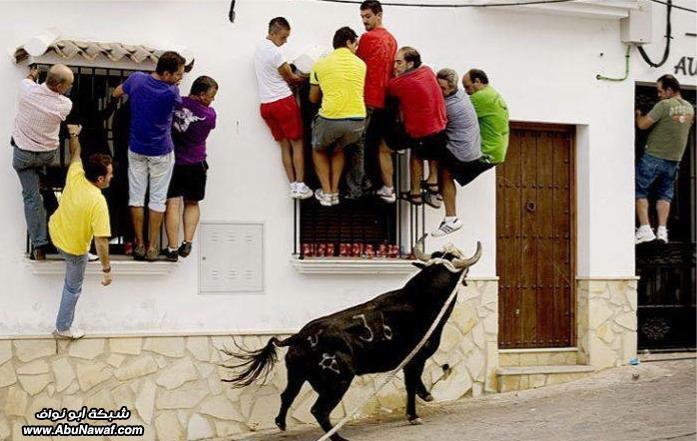 صورة وتعليق - 1.jpg