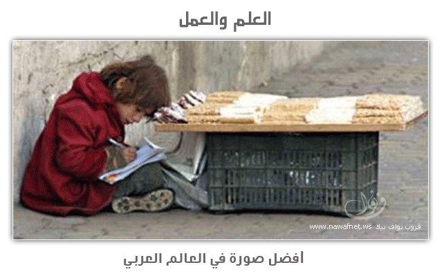 صورة وتعليق - 7.jpg