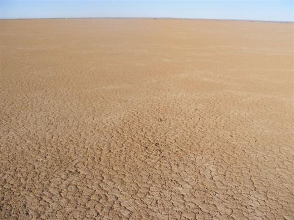 post-1-095406000 1299542040_thumb.jpg