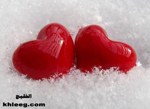 post-43-033766800 1299187115_thumb.jpg