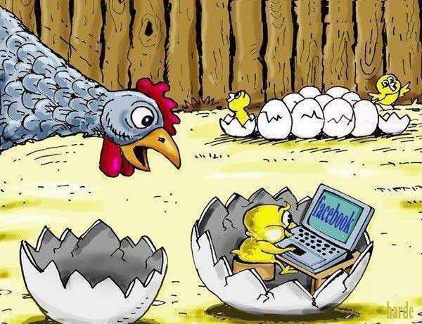 صورة وتعليق - 9.jpg