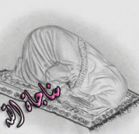 post-12845-023903400 1305046132_thumb.gif