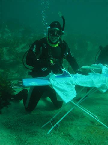 post-2316-004828300 1306180580_thumb.jpg