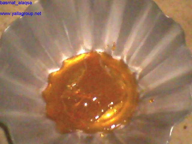 post-2316-013302100 1306674618_thumb.jpg