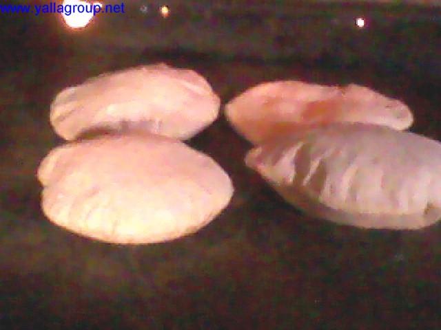 post-2316-003795300 1308575540_thumb.jpg