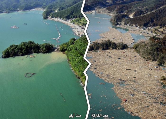 post-2316-064328000 1308518673_thumb.jpg