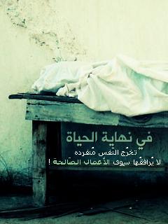 post-2316-078673000 1308608554_thumb.jpeg