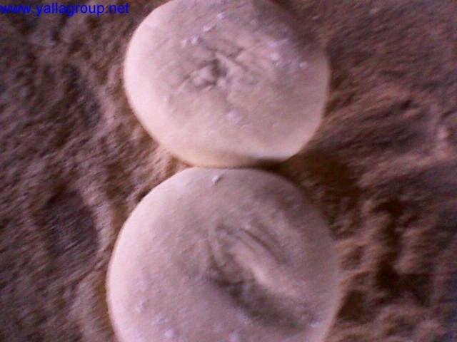 post-2316-085506100 1308575525_thumb.jpg