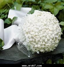 post-51212-089122600 1309428695_thumb.jpg