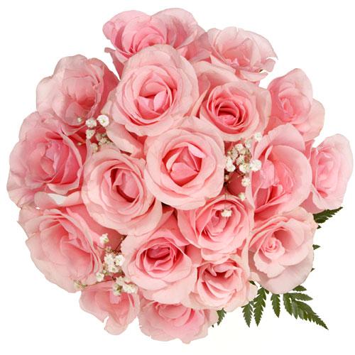 post-2316-074936800 1309526113_thumb.jpg