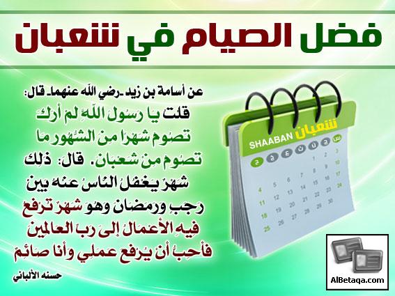 post-2316-090317000 1309728896_thumb.jpg