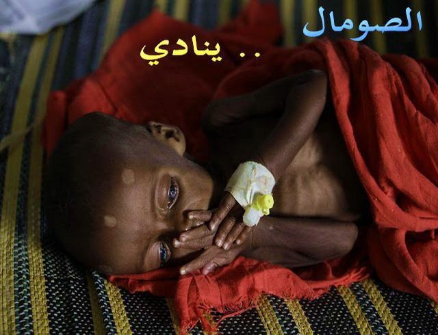 post-2316-006676500 1312549604_thumb.jpg