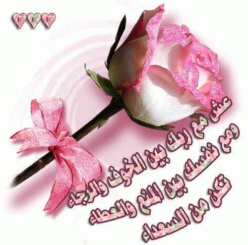 post-51212-095066600 1312640111_thumb.gif