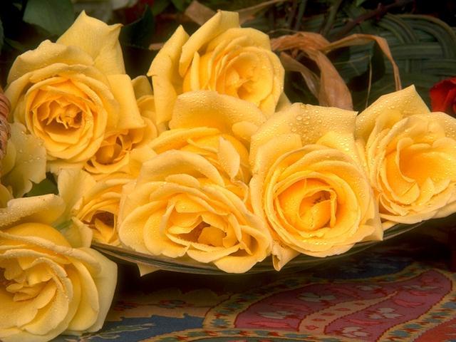 post-2316-094536900 1315398893_thumb.jpg