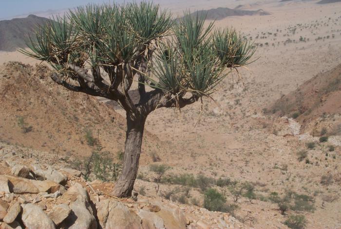 post-79249-000768300 1287251805_thumb.jpg