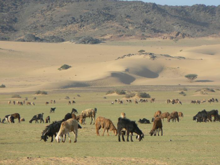 post-79249-009595100 1287251272_thumb.jpg