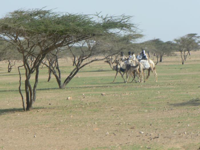 post-79249-033173400 1287251548_thumb.jpg