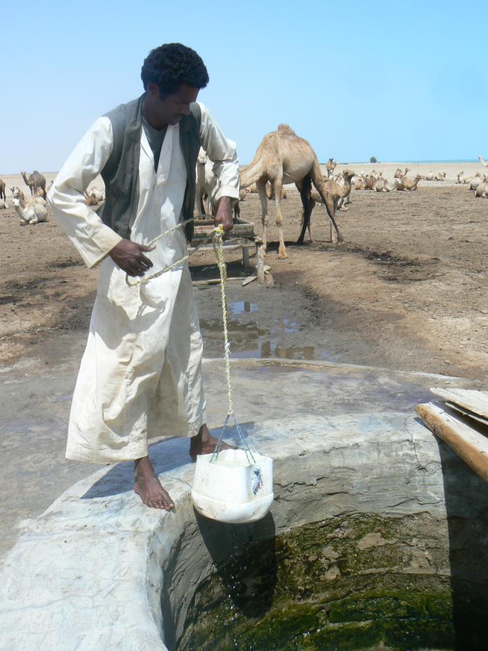 post-79249-047347200 1287252233_thumb.jpg