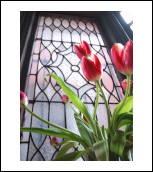 post-82858-001603500 1290459665_thumb.jpg