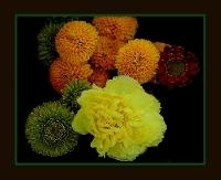 post-82858-014978100 1290459706_thumb.jpg