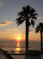 post-82858-020720300 1290459642_thumb.jpg