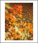 post-82858-024709100 1290459607_thumb.jpg