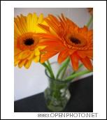 post-82858-038587500 1290459624_thumb.jpg