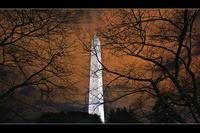 post-82858-044764800 1290459780_thumb.jpg