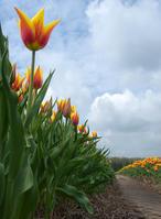 post-82858-090346200 1290459754_thumb.jpg