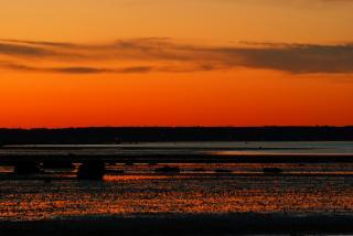 post-82858-095319100 1290459680_thumb.jpg